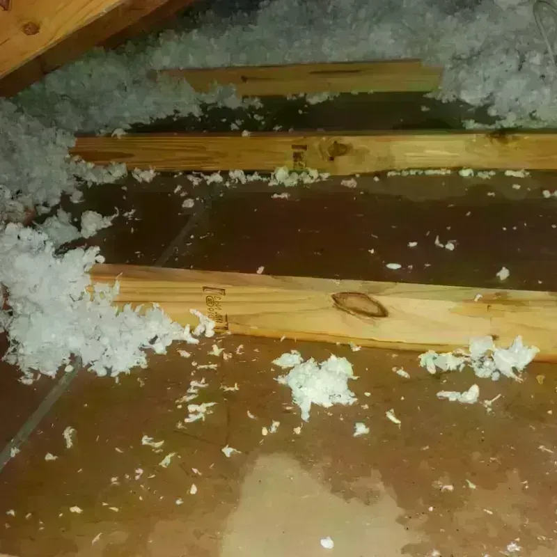 Attic Water Damage in Halifax, VA