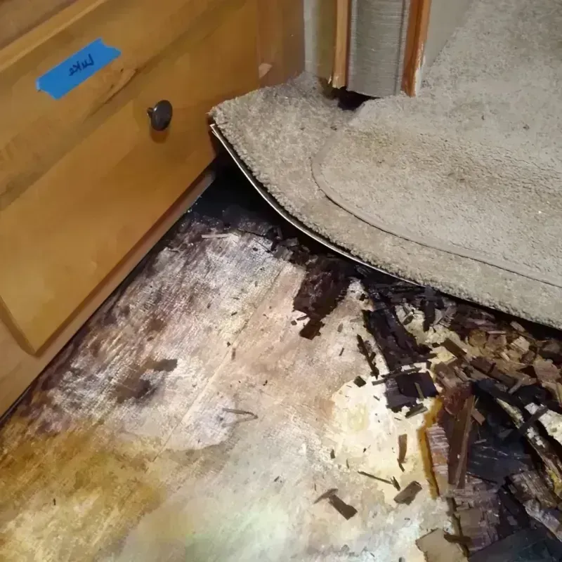 Wood Floor Water Damage in Halifax, VA